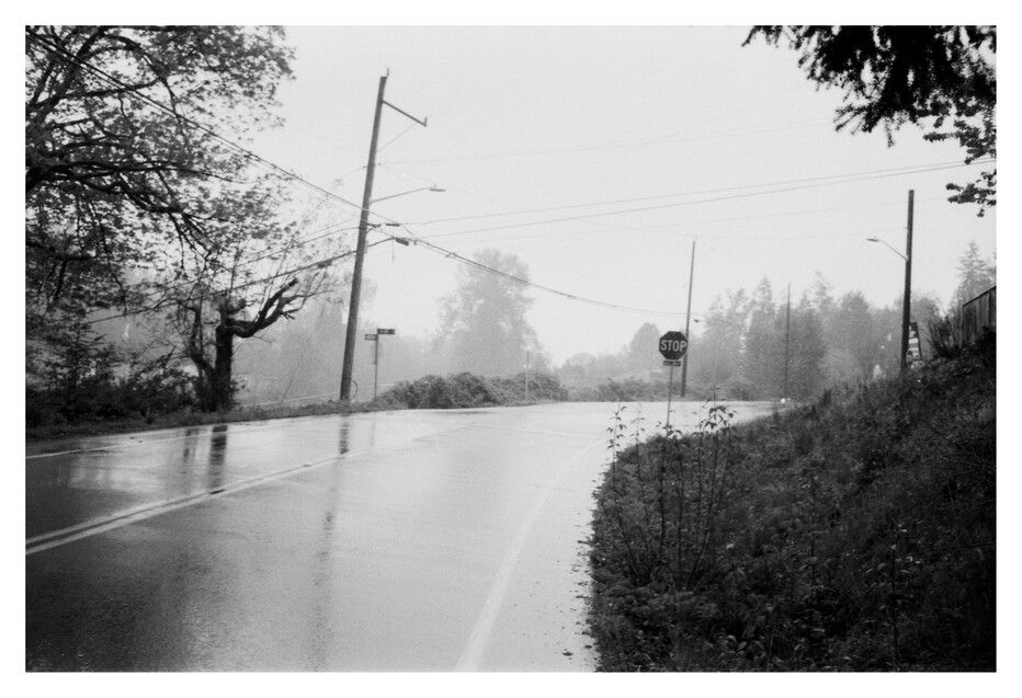 Empty street on a rainy day, with a stop sign at an intersection and power lines above.
