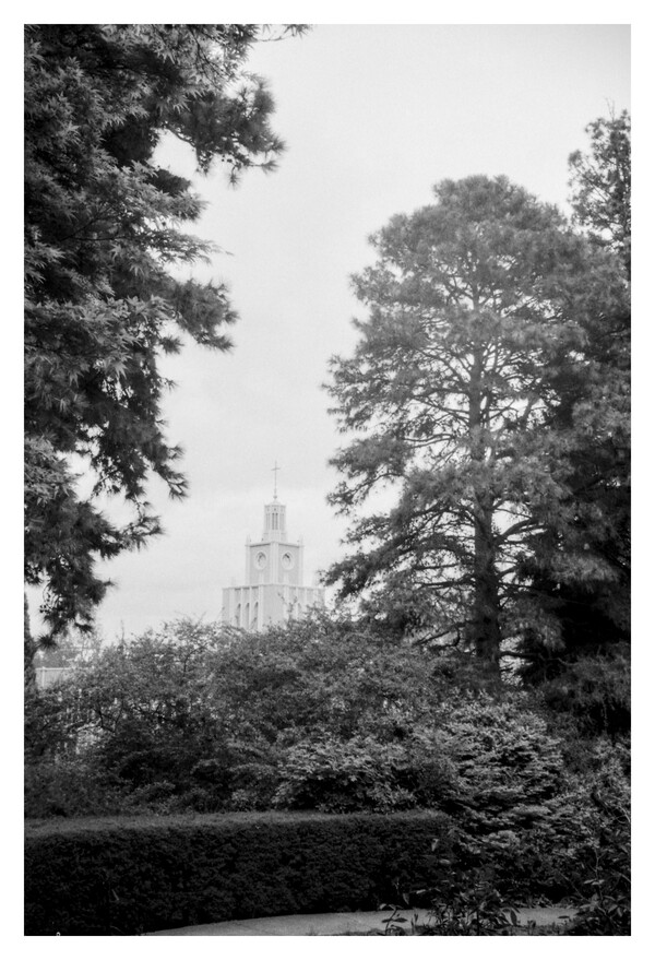 Bushes and tall trees in the foreground, with a tall tower with a cross in the background.